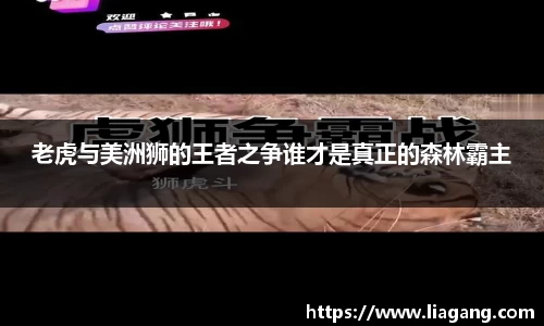 老虎与美洲狮的王者之争谁才是真正的森林霸主